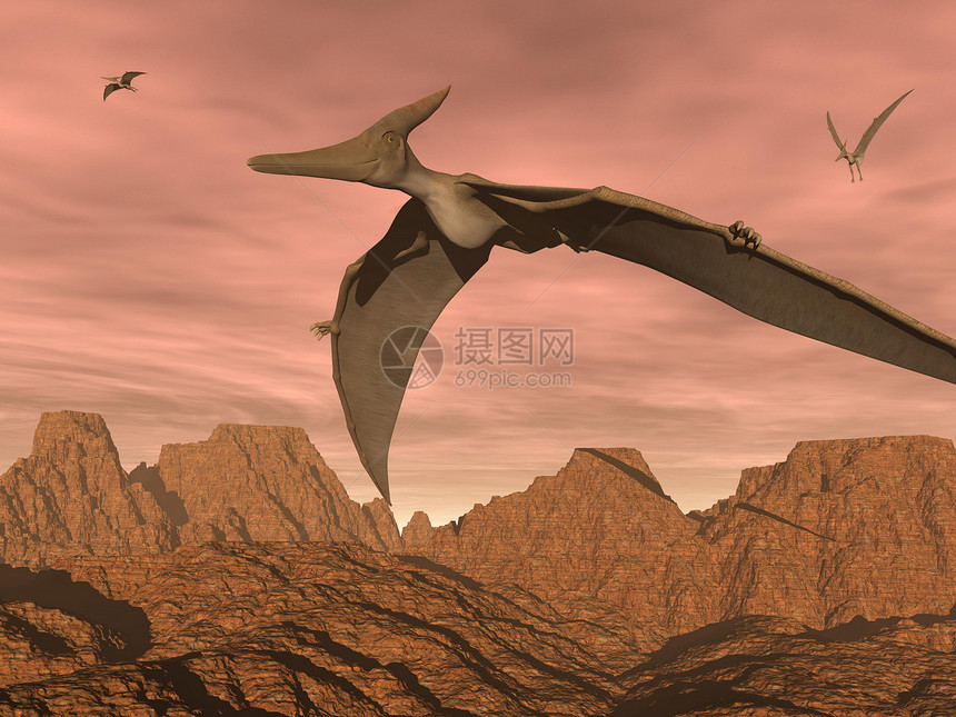 Pteranodon恐龙飞行  3D动物翅膀翼龙插图灭绝侏罗纪野生动物古生物学航班天空图片