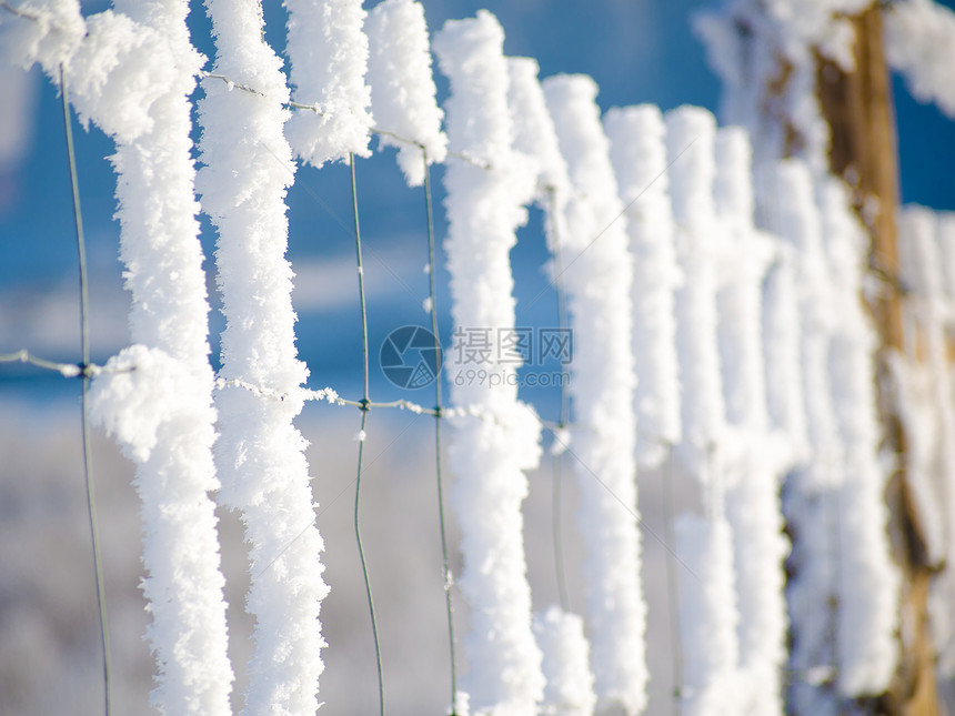 铁丝栅栏和蓝天空上的霜冻图片
