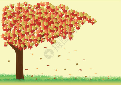 花木树墙纸花园绘画吸引力草地阳光植物木头树干橙子设计图片