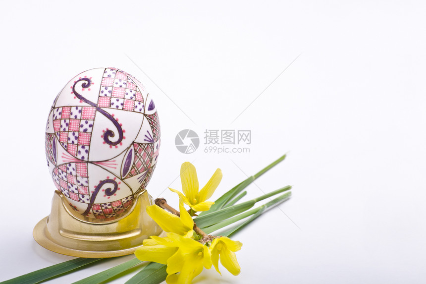 东面蛋传统植物绿色季节性黄花季节图片