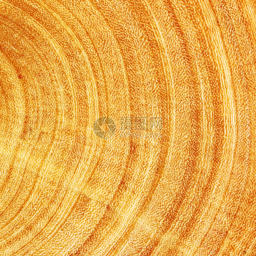 剪切木质棕色木材褐色水平木头日志图片
