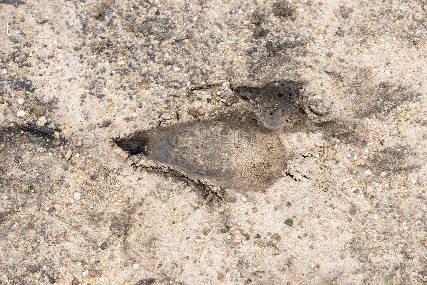 土沙中印斑的印地拉足迹图片