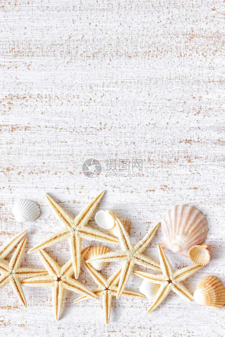 海贝壳情调收藏木板海星贝类星星明信片贝壳假期海洋图片
