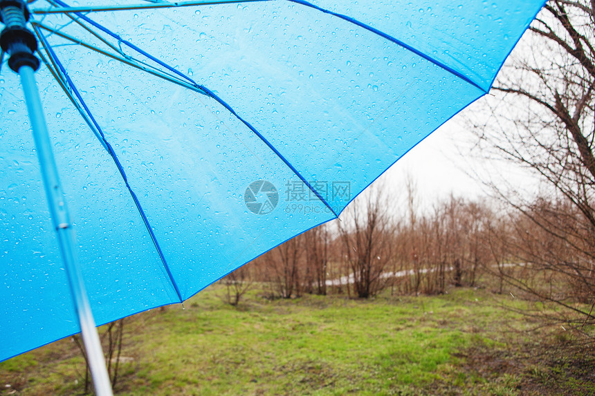 公园的雨伞图片