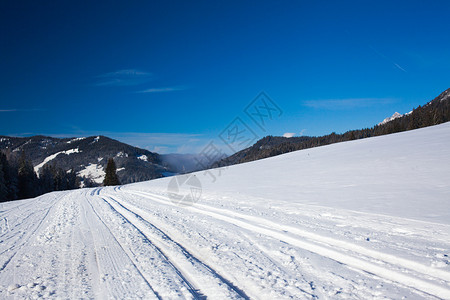 德胜洋楼滑雪胜地上的斜坡蓝色闲暇森林季节顶峰高度高山寒意小精灵树木背景