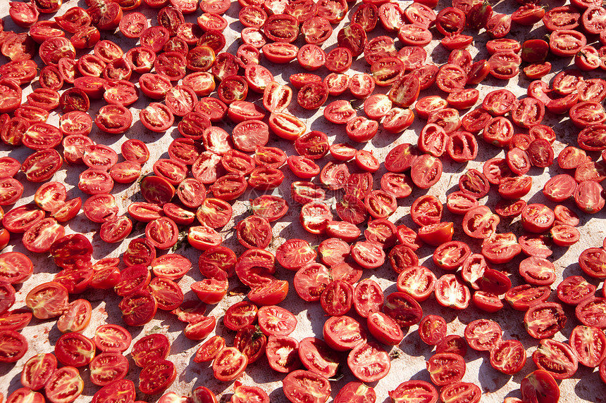 干番茄香料种子红色白色草本植物美食蔬菜脱水烹饪太阳图片
