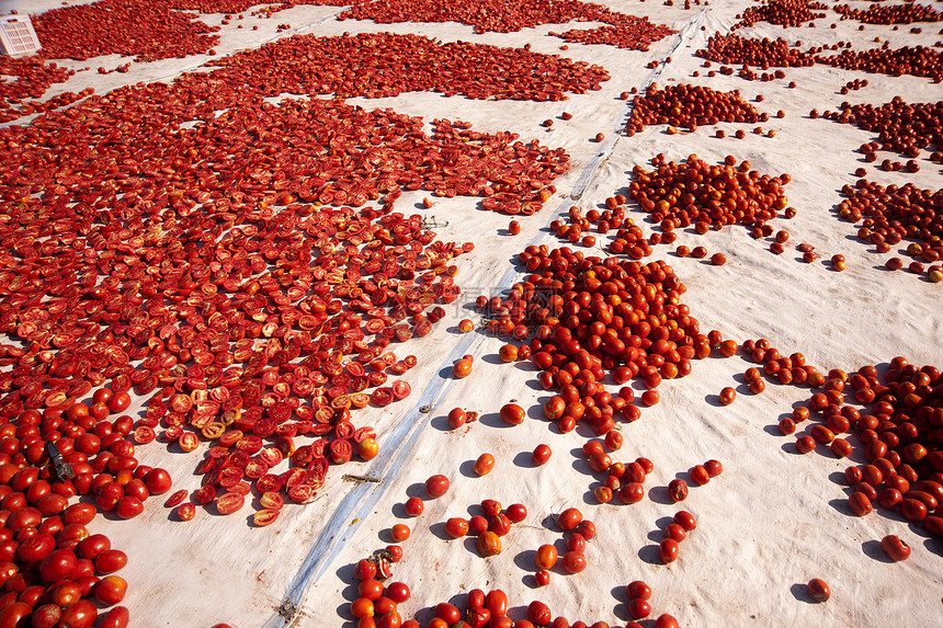干番茄草本植物种子美食义者小吃脱水红色食物水平太阳图片