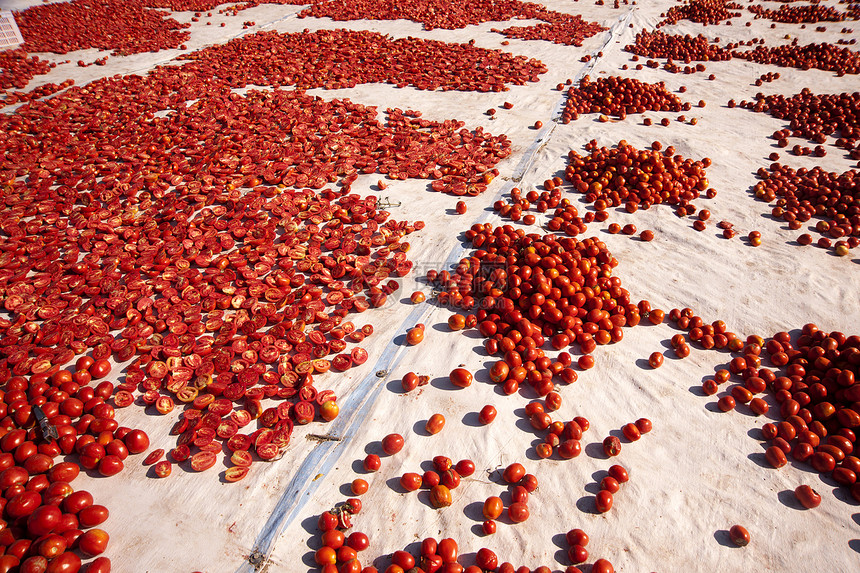 干番茄框架脱水太阳美食种子小吃草本植物红色蔬菜水平图片