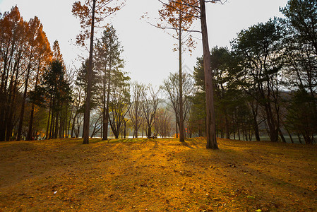 韩国秋季背景图片