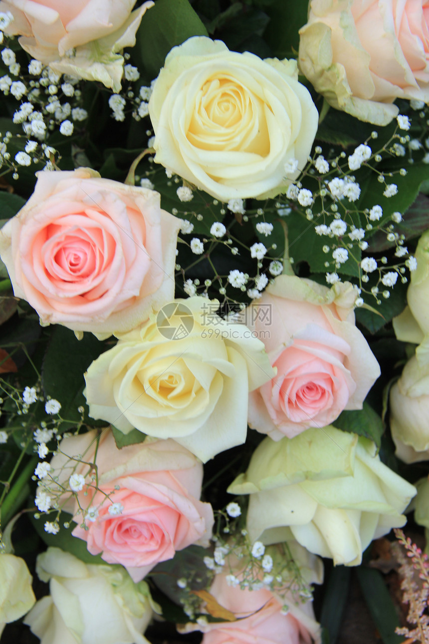 粉红和白玫瑰花瓣玫瑰浪漫婚姻白色新娘仪式花朵鲜花婚礼图片