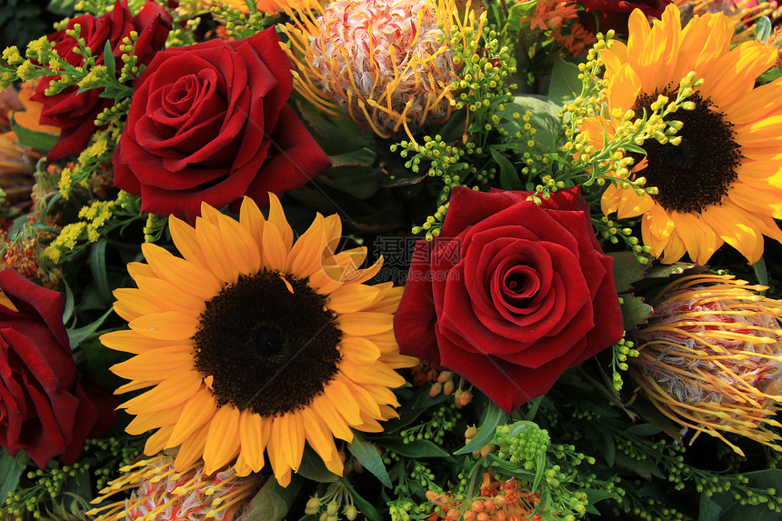 向日葵和玫瑰浪漫婚姻新娘植物群黄色仪式婚礼绿色花瓣花朵图片