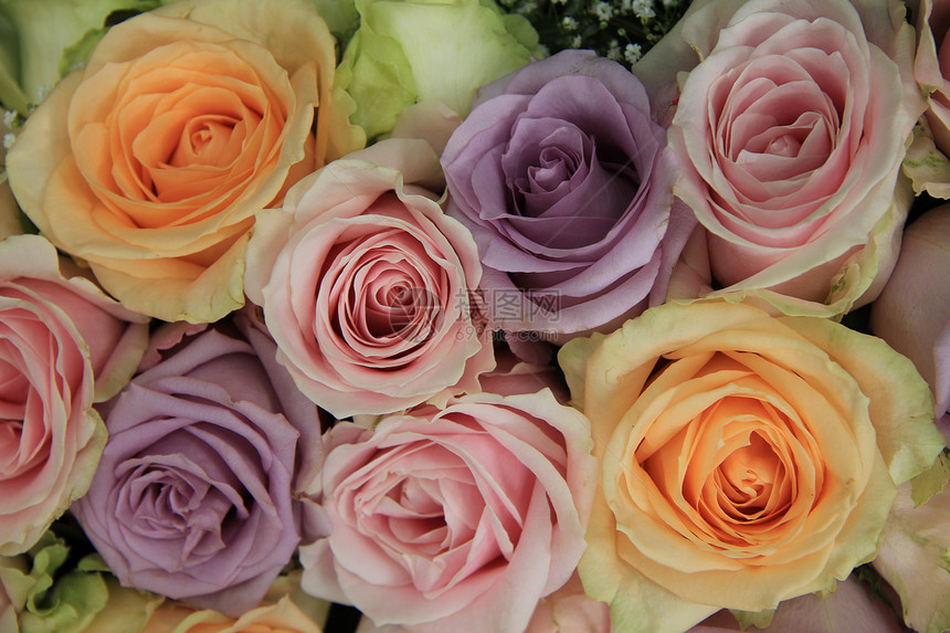 婚嫁安排中的粘贴玫瑰团体庆典花朵中心绿色橙子粉色浪漫新娘婚礼图片