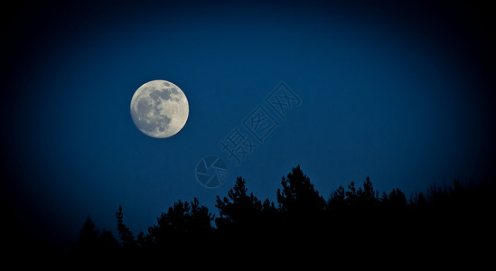 月亮蓝色天空黑色满月森林背景图片