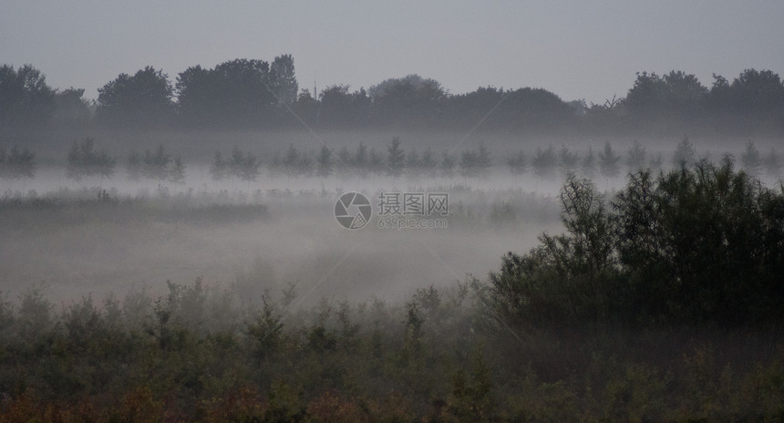 黎明时在田地上雾雾图片