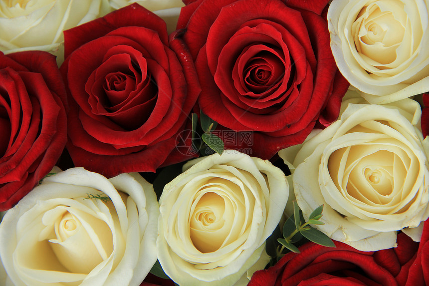 婚礼安排中的红玫瑰和白玫瑰婚姻花店新娘花束中心植物群玫瑰团体白色花朵图片
