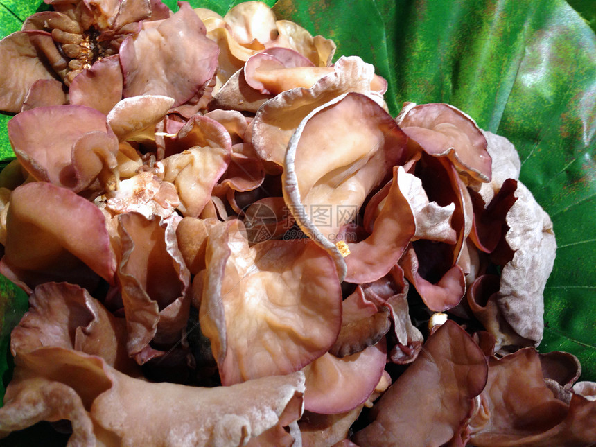 篮子里的生耳蘑菇耳朵食物图片