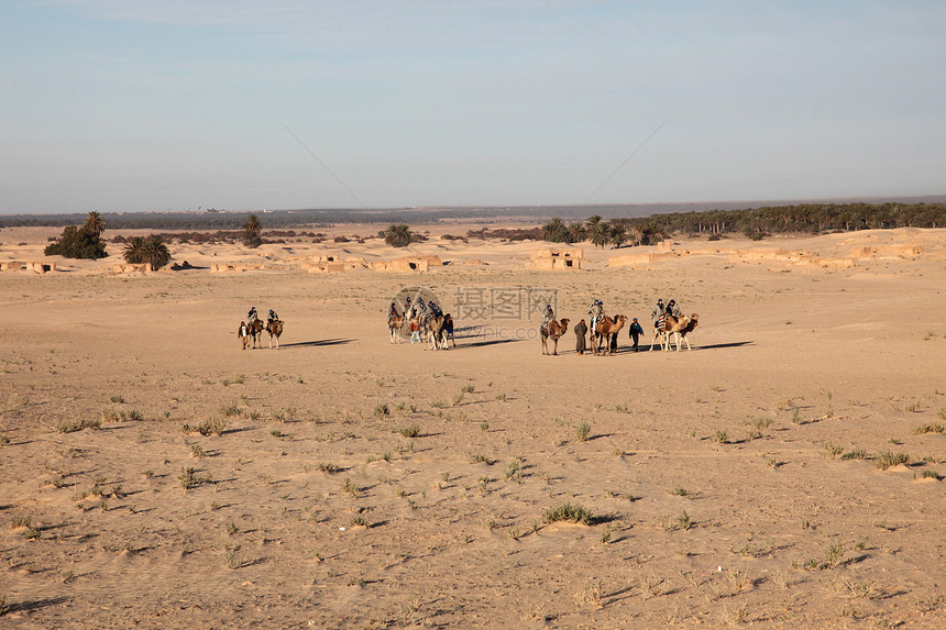 车队骆驼旅游沙漠孤独寂寞游客晴天动物哺乳动物旅行图片