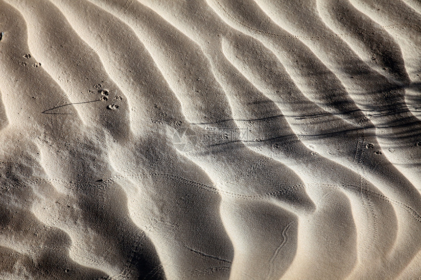 萨哈尔沙地上的风纹理沙漠异国太阳波纹旅行地球情调荒野游客土地图片