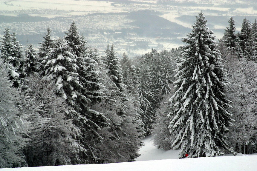 下雪覆盖森林林线山地人树木孤独公园图片