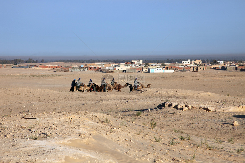 车队孤独动物沙丘单峰哺乳动物游客运输骆驼寂寞旅游图片