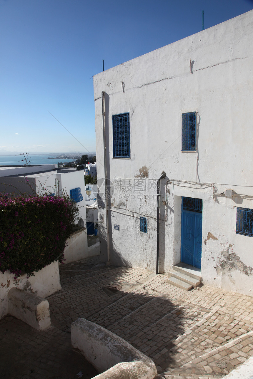 突尼斯植物建筑活力房子白色窗户楼梯风景建筑学蓝色图片