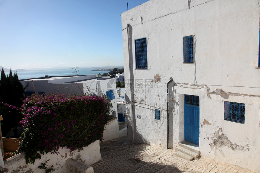 突尼斯风景活力白色植物窗户蓝色楼梯建筑建筑学房子图片