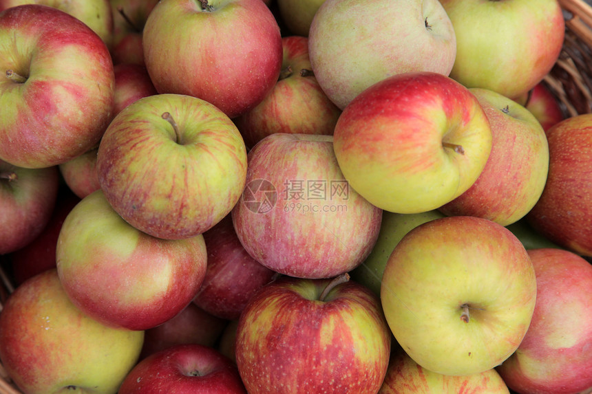 苹果生长食物馅饼采摘种子市场小吃水果果园生产图片