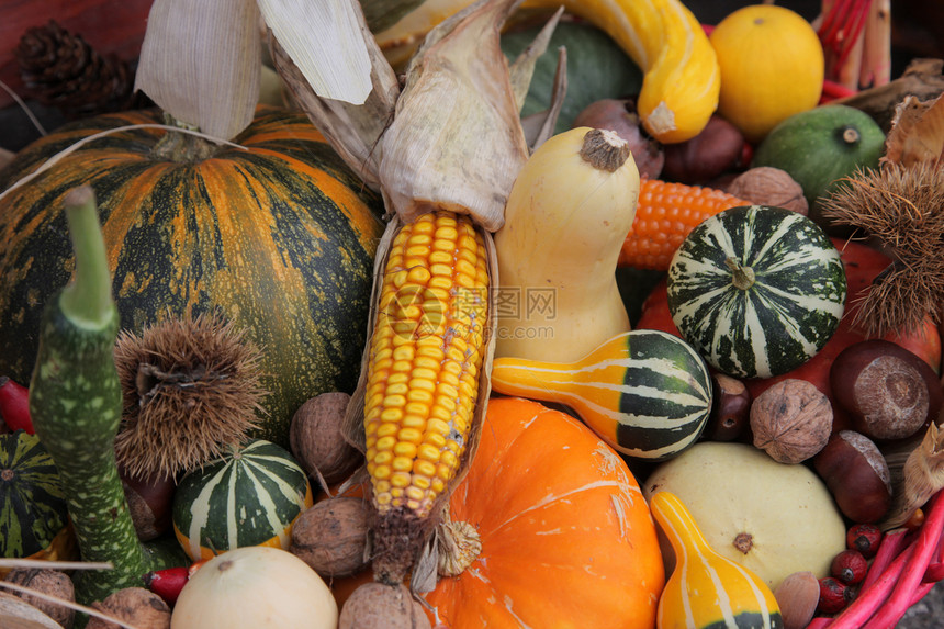 秋季收获产品南瓜水果胡桃团体收成收藏食物蔬菜植物图片