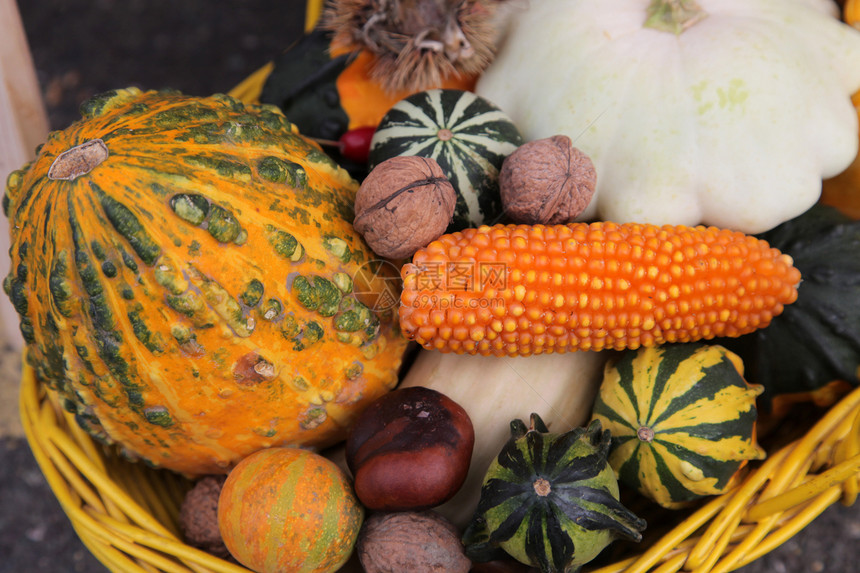 秋季收获食物团体营养收成美食蔬菜季节坚果胡桃水果图片