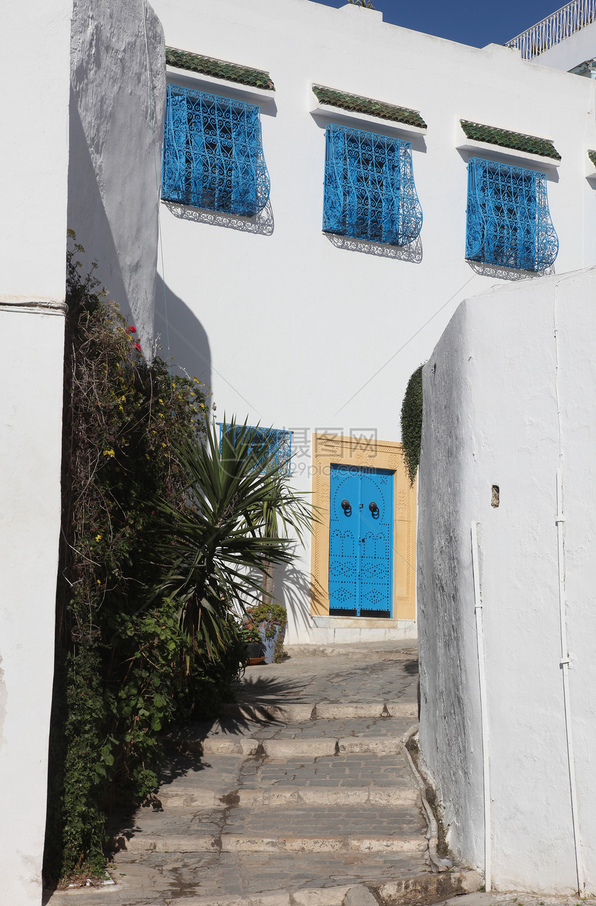 典型建筑 有白墙 蓝门和窗子蓝色建筑学活力窗户植物房子白色楼梯风景图片