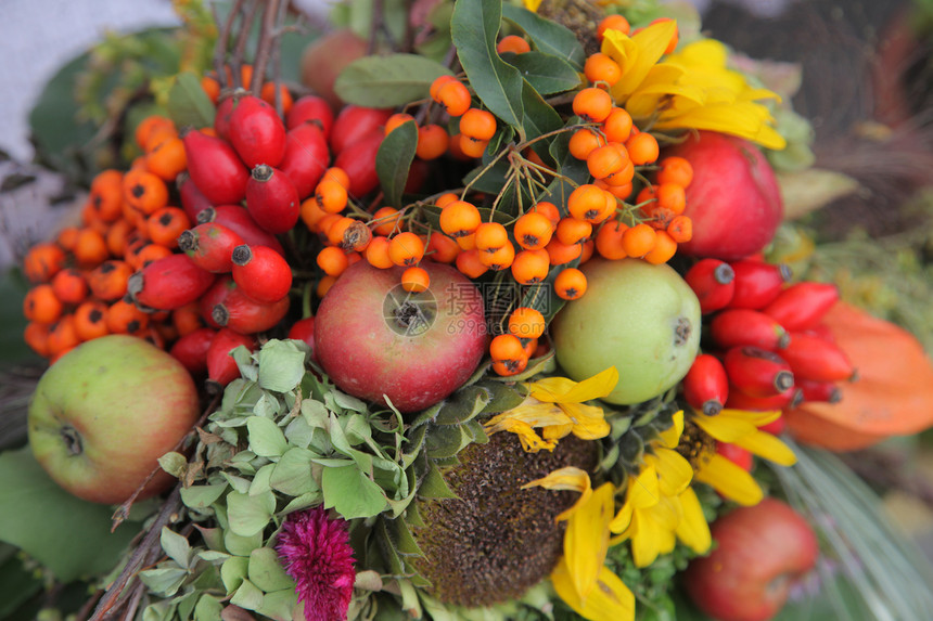 苹果水果味道肉质果园市场种子生长采摘绿色营养图片