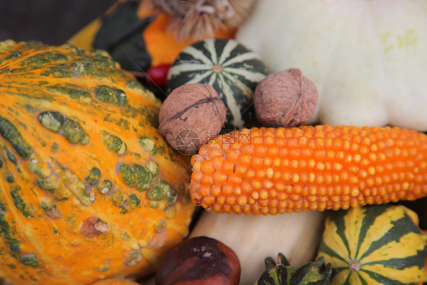 秋季收获季节饮食蔬菜水果收藏坚果产品团体美食南瓜图片