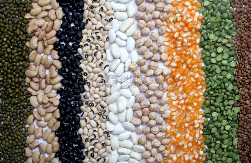 各种种子和谷物玉米饮食脉冲收藏扁豆收成粮食镜片豆类积累图片