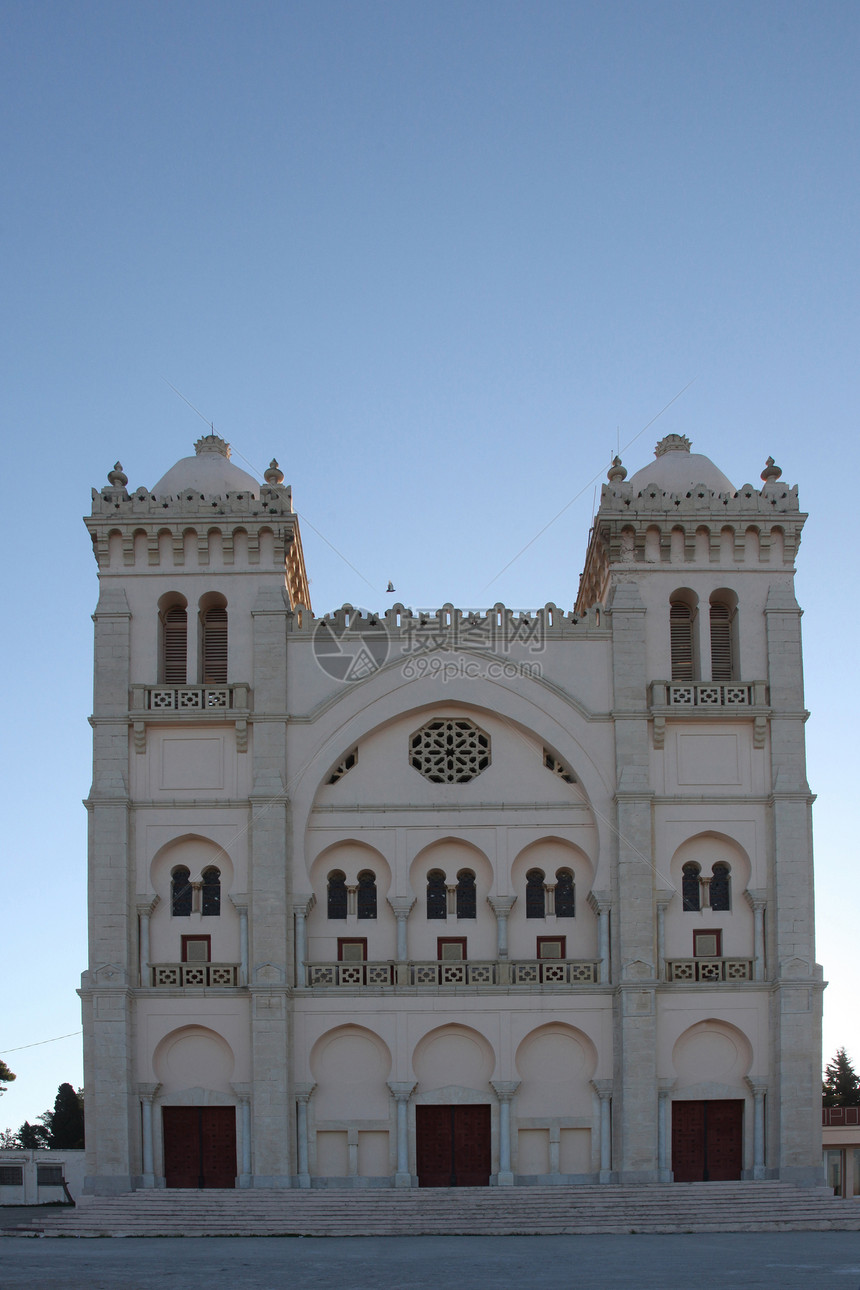 突尼斯 迦太基 拜尔萨山     圣路易斯大教堂蓝色建筑学纪念碑宗教尖顶地标植物历史大教堂圆顶图片