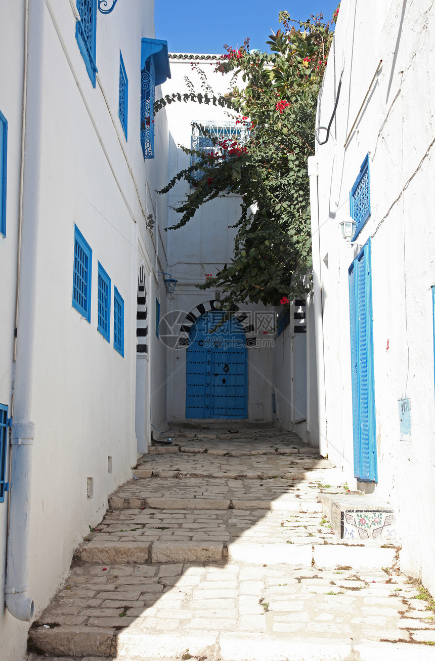 典型建筑 有白墙 蓝门和窗子建筑学蓝色房子白色风景活力楼梯植物图片