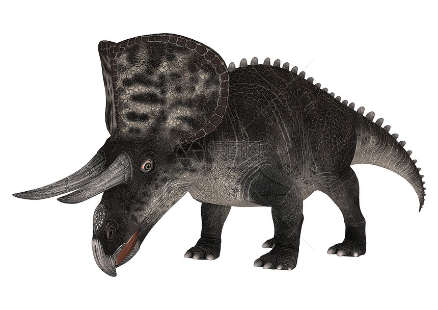 单体蛋白白色古生物学动物生物爬虫博物馆捕食者恐龙怪物插图图片