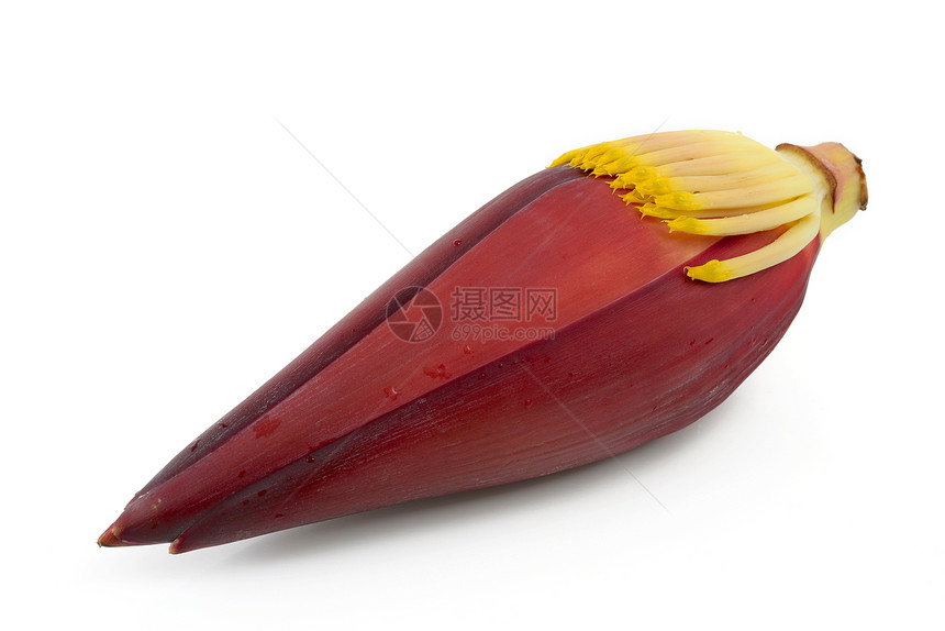 香蕉花红色水果食物图片