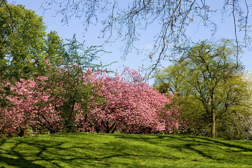 Hyde公园太阳蓝色公园花园王国黄色场地英语风景时间图片