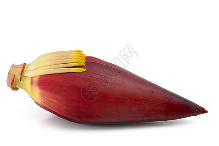 香蕉花红色食物水果背景图片