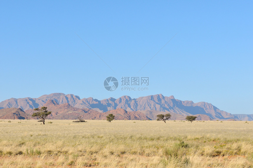 草地和山地景观纳米布荒野孤独干旱沙漠风景图片