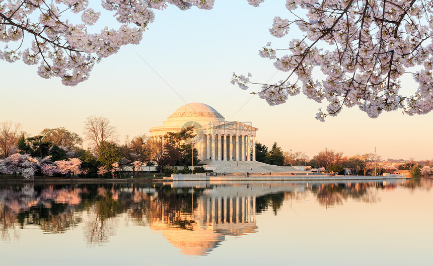 美丽的清晨杰斐逊纪念樱花花朵旅行直流电纪念碑潮汐盆地季节反射节日图片