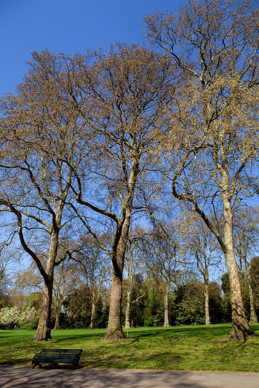 Hyde公园时间天空绿色公园黄色花园太阳王国蓝色叶子图片