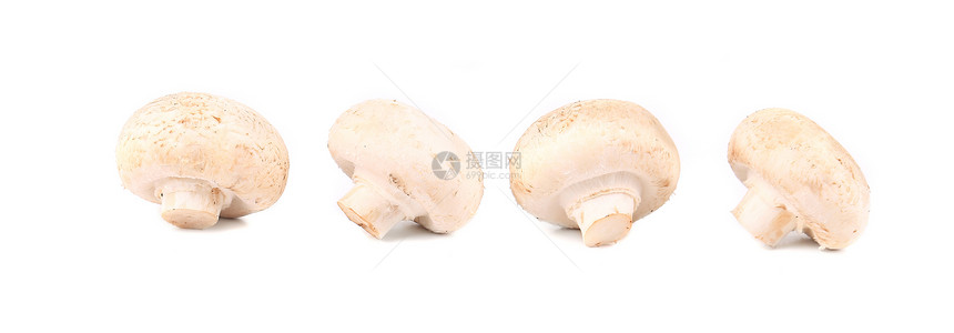 白蘑菇关门了生活蔬菜营养白色宏观图片