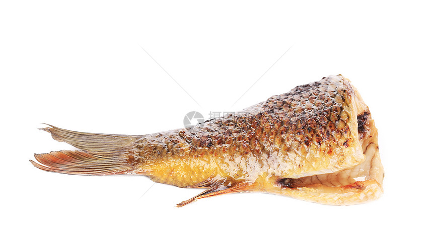 虾尾尾鱼食物鲤鱼午餐海鲜棕色美食白色油炸尾巴图片