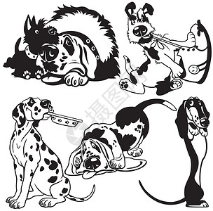 广州猎德大桥带卡通狗的黑色黑白乐趣犬类插图斑点动物俱乐部卡通片仔梗漫画宠物插画