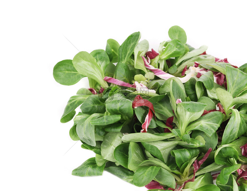 菠菜和紫罗素混合剂叶子植物学植物生产营养食物饮食美食菠菜蔬菜图片