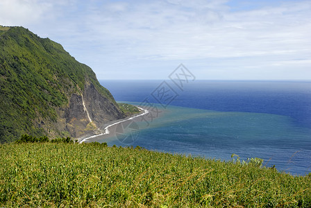 马德拉群岛沿海海岸假期明信片农场风景旅行闲暇港口玉米悬崖房子背景