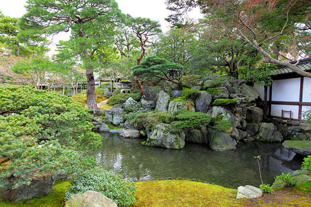 日本石头花园有日本风格的花园背景