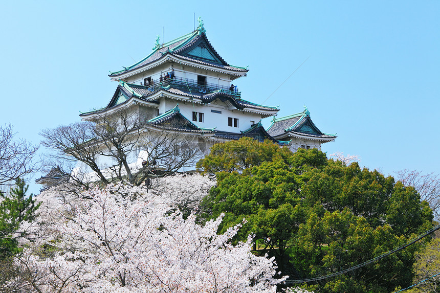 日本在Wakayama的日本城堡世界文化蓝色历史性公园樱花建筑建筑学白色天际图片