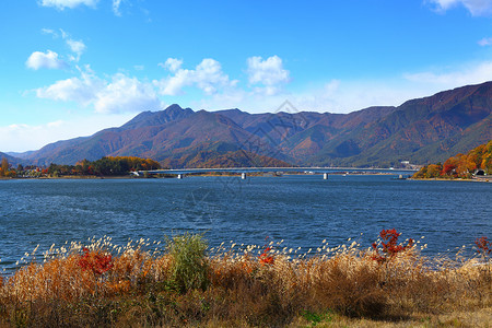 日本川口湖稻草公园季节杂草芦苇房子反射池塘叶子爬坡爬坡道高清图片素材